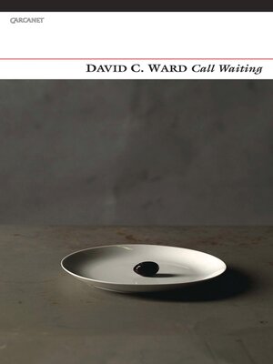 cover image of Call Waiting